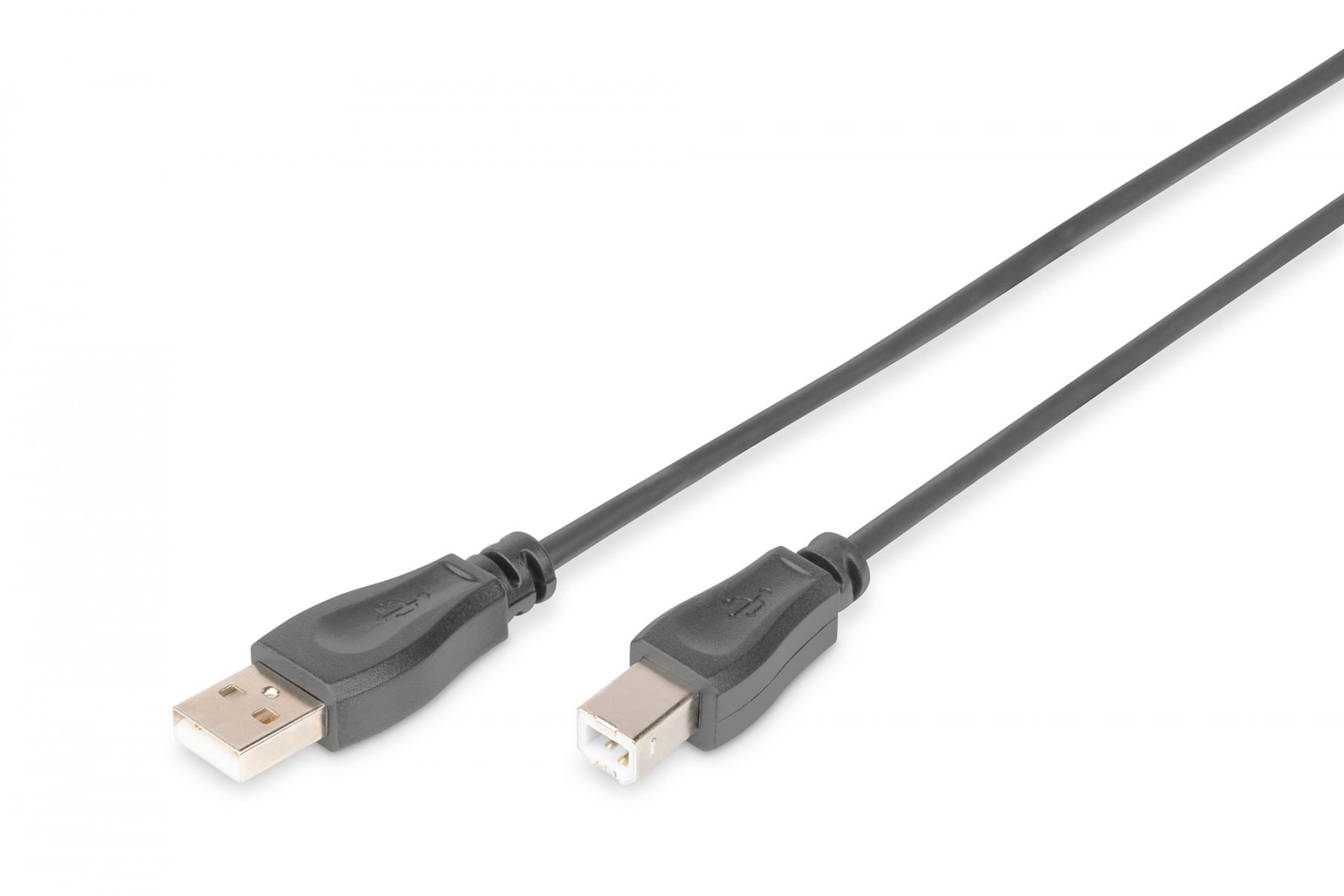 DIGITUS Digitus AK-300105-005-S Cavo USB 2.0 Maschio a Maschio A a B 0.5m Nero - CAVI PER COMPUTER E PERIFERICHE | TecnoCARE.net Sabaudia, Latina, Terracina, San Felice Circeo e Pontinia
