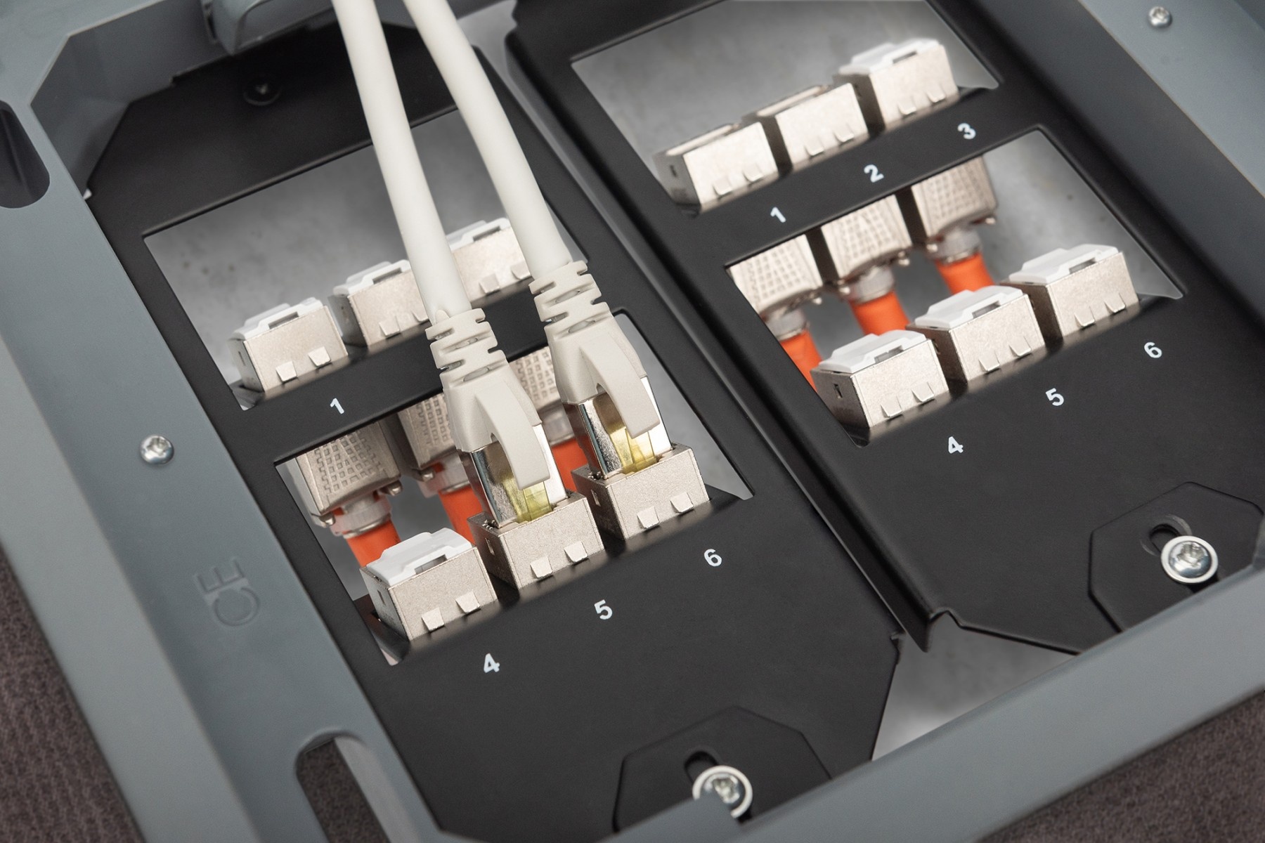 DIGITUS Digitus AN-25178 Placca copripresa e copri interruttori Nero - DISPOSITIVI E ACCESSORI DI CABLAGGIO | TecnoCARE.net Sabaudia, Latina, Terracina, San Felice Circeo e Pontinia