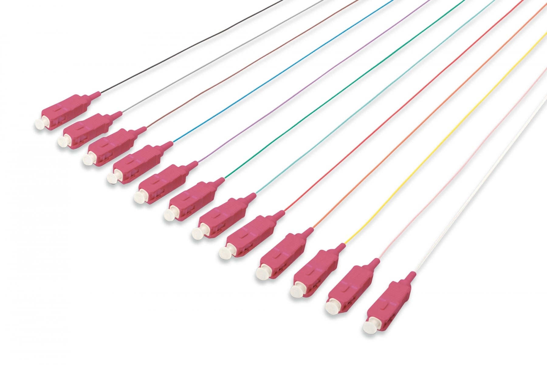 DIGITUS Digitus DK-25221-02-4 cavo InfiniBand e in fibra ottica 2 m Pigtail Multicolore - CAVI PER COMPUTER E PERIFERICHE | TecnoCARE.net Sabaudia, Latina, Terracina, San Felice Circeo e Pontinia