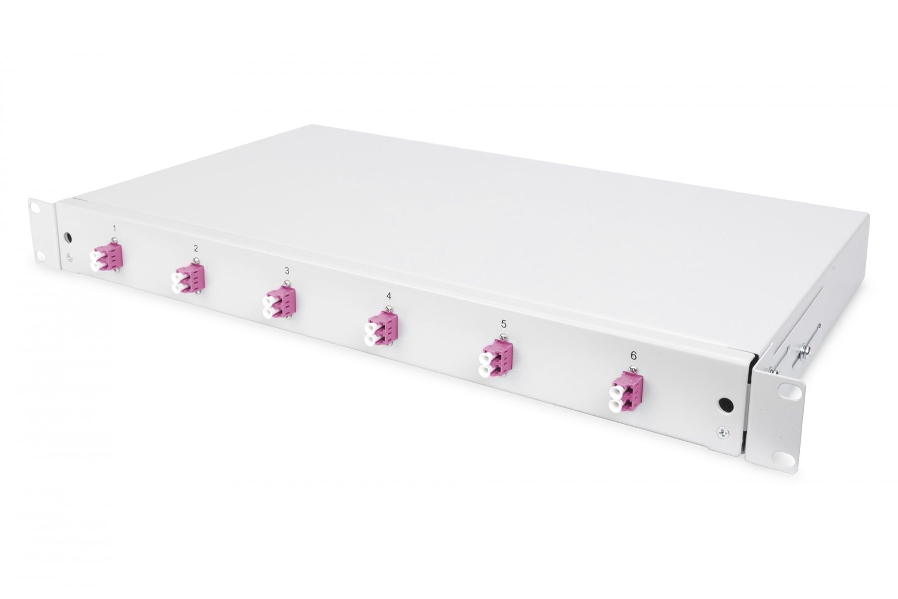 DIGITUS Digitus DN-96330-4 porta accessori Pannello di gestione del cavo - COMPONENTI | TecnoCARE.net Sabaudia, Latina, Terracina, San Felice Circeo e Pontinia