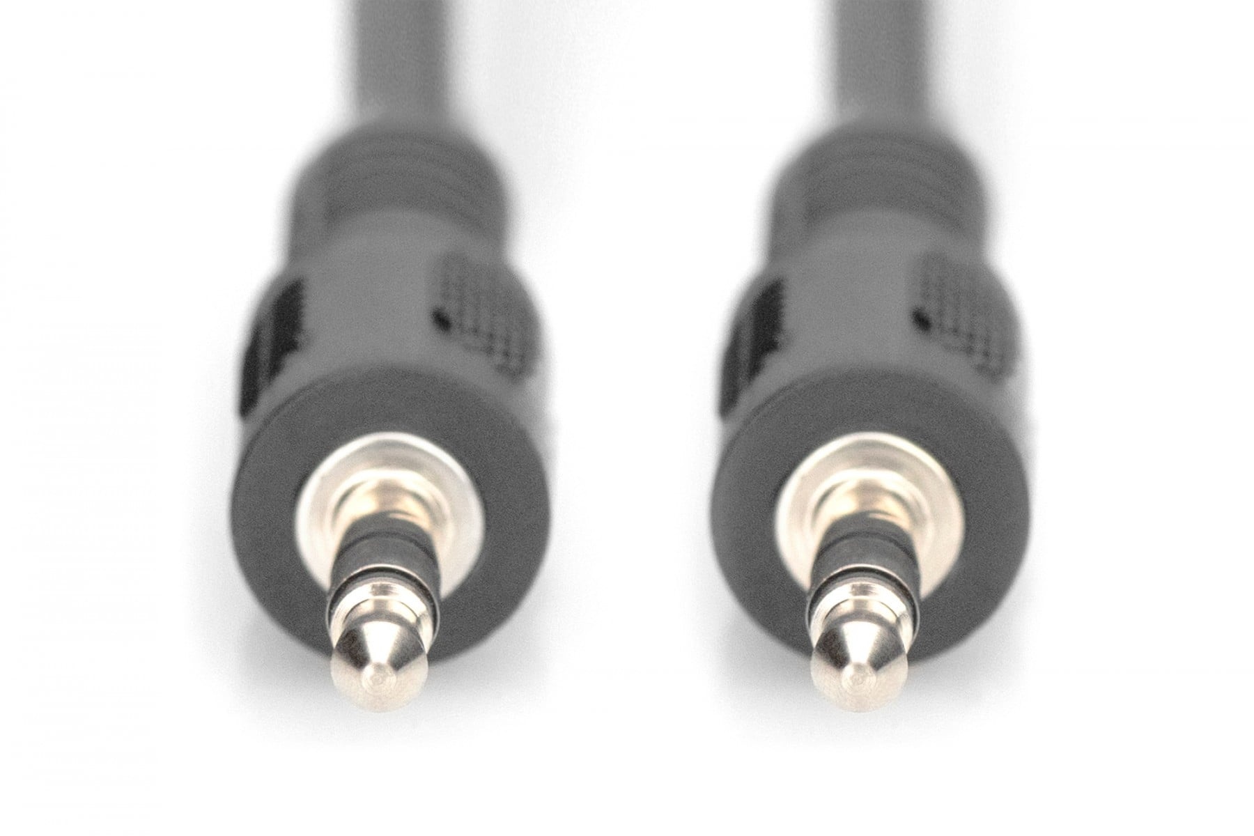 DIGITUS Digitus AK-510100-025-S cavo audio 2,5 m 3.5mm Nero - CAVI PER COMPUTER E PERIFERICHE | TecnoCARE.net Sabaudia, Latina, Terracina, San Felice Circeo e Pontinia