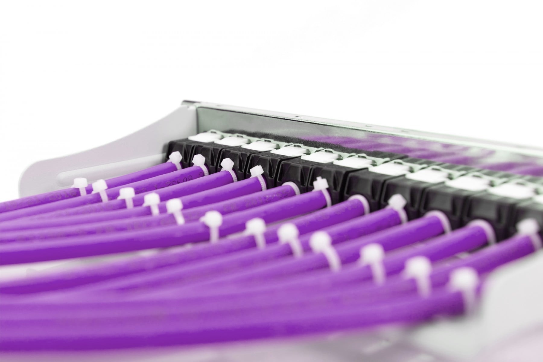 DIGITUS Digitus DK-1623-VH-1 cavo di rete Viola 100 m Cat6 F/UTP (FTP) - CAVI PER COMPUTER E PERIFERICHE | TecnoCARE.net Sabaudia, Latina, Terracina, San Felice Circeo e Pontinia