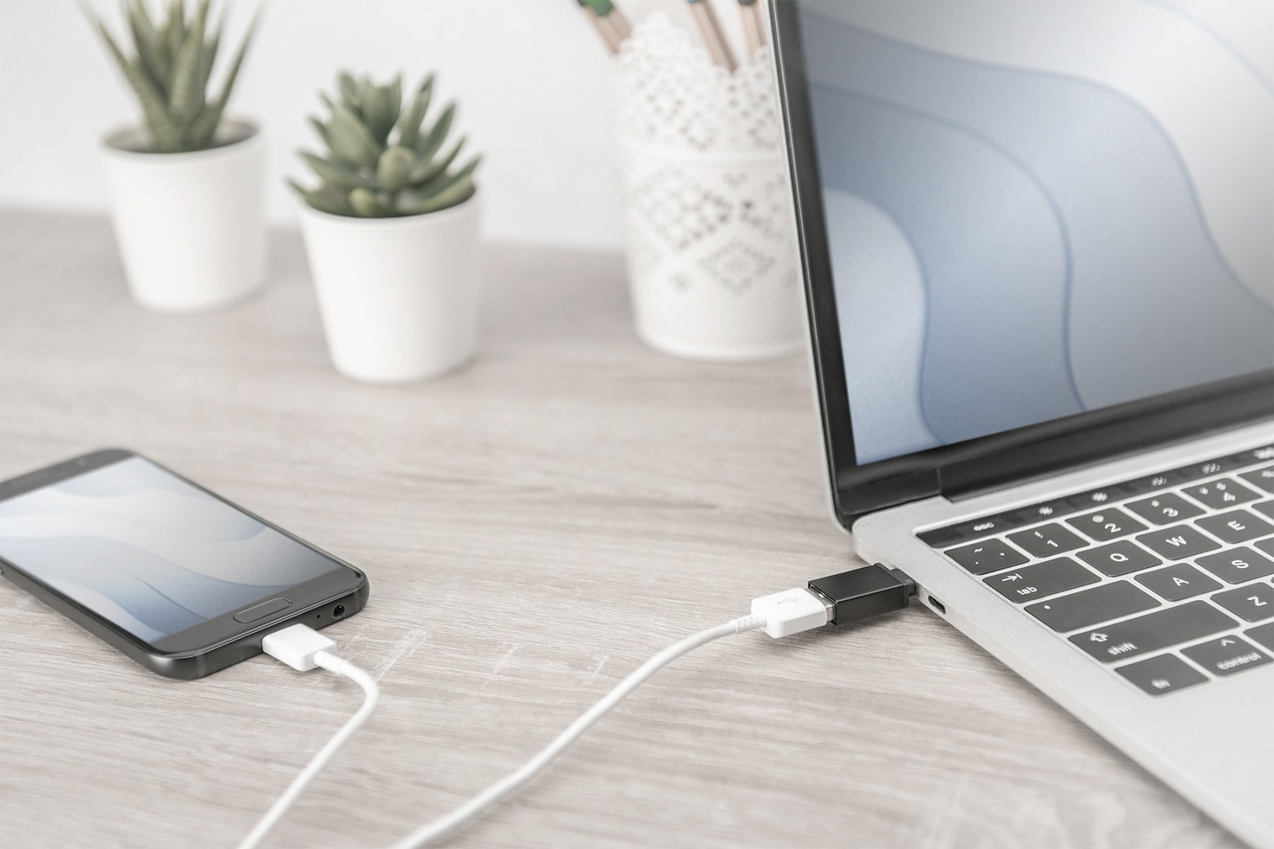 DIGITUS Digitus AK-300506-000-S adattatore per inversione del genere dei cavi USB C USB A Nero - CAVI PER COMPUTER E PERIFERICHE | TecnoCARE.net Sabaudia, Latina, Terracina, San Felice Circeo e Pontinia