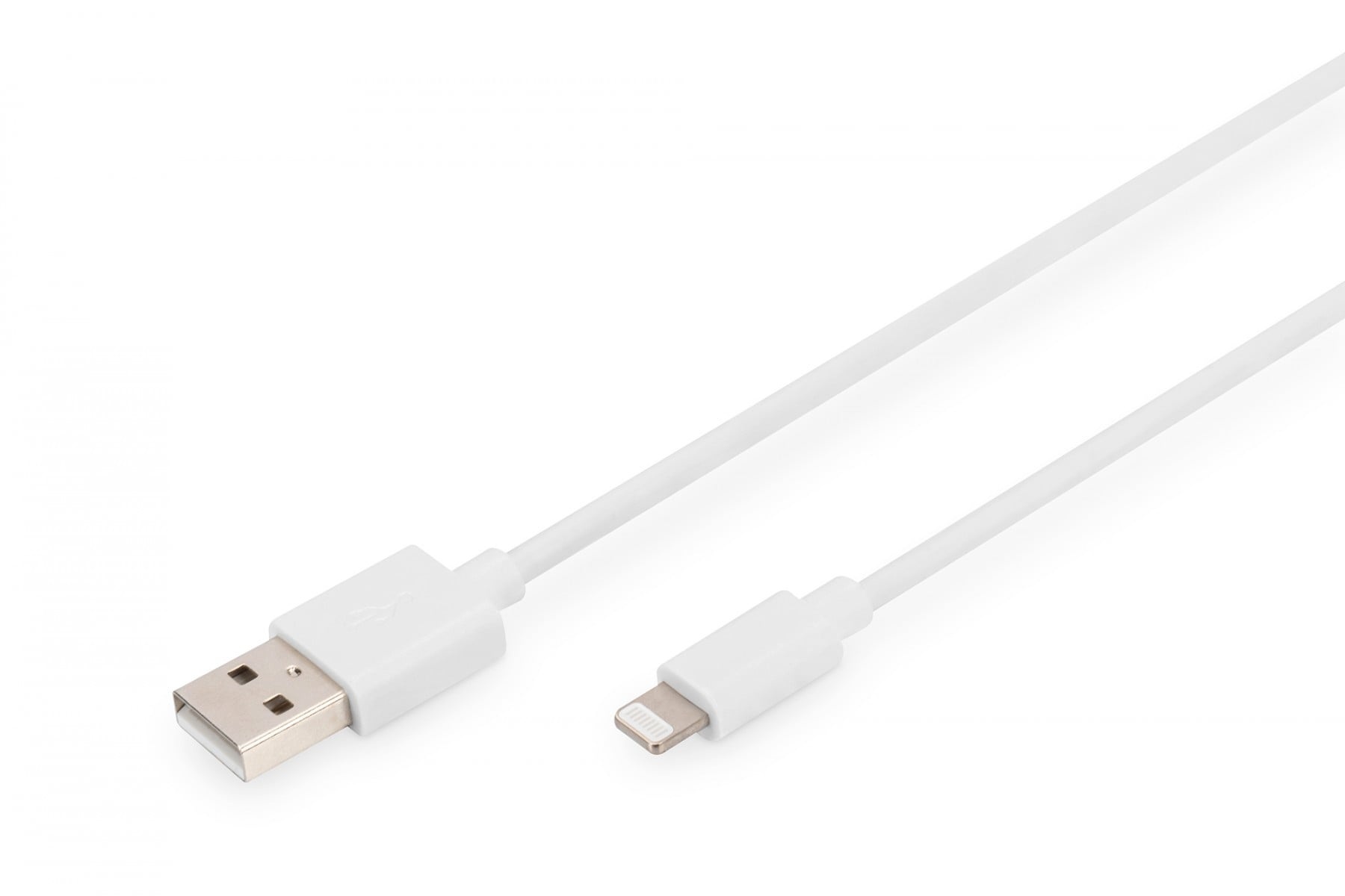 DIGITUS Digitus DB-600106-010-W cavo Lightning 1 m Bianco - CAVI PER COMPUTER E PERIFERICHE | TecnoCARE.net Sabaudia, Latina, Terracina, San Felice Circeo e Pontinia