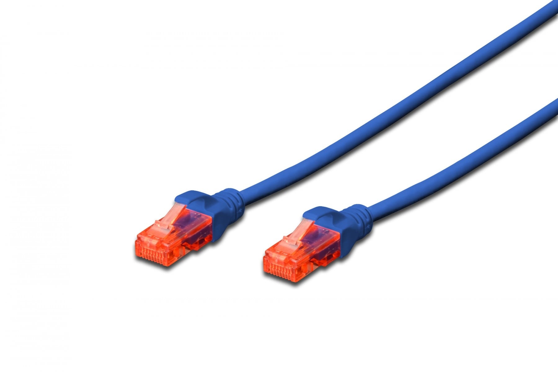 DIGITUS Digitus DK-1617-0025/B cavo di rete Blu 0,25 m Cat6 U/UTP (UTP) - CAVI PER COMPUTER E PERIFERICHE | TecnoCARE.net Sabaudia, Latina, Terracina, San Felice Circeo e Pontinia