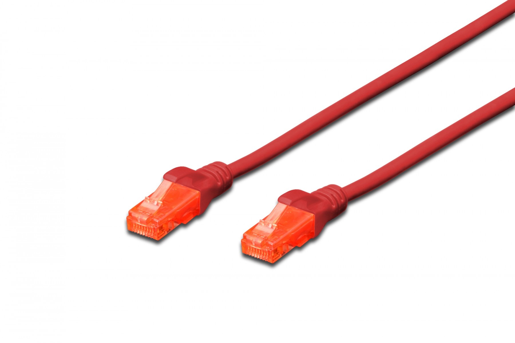 DIGITUS Digitus DK-1617-0025/R cavo di rete Rosso 0,25 m Cat6 U/UTP (UTP) - CAVI PER COMPUTER E PERIFERICHE | TecnoCARE.net Sabaudia, Latina, Terracina, San Felice Circeo e Pontinia