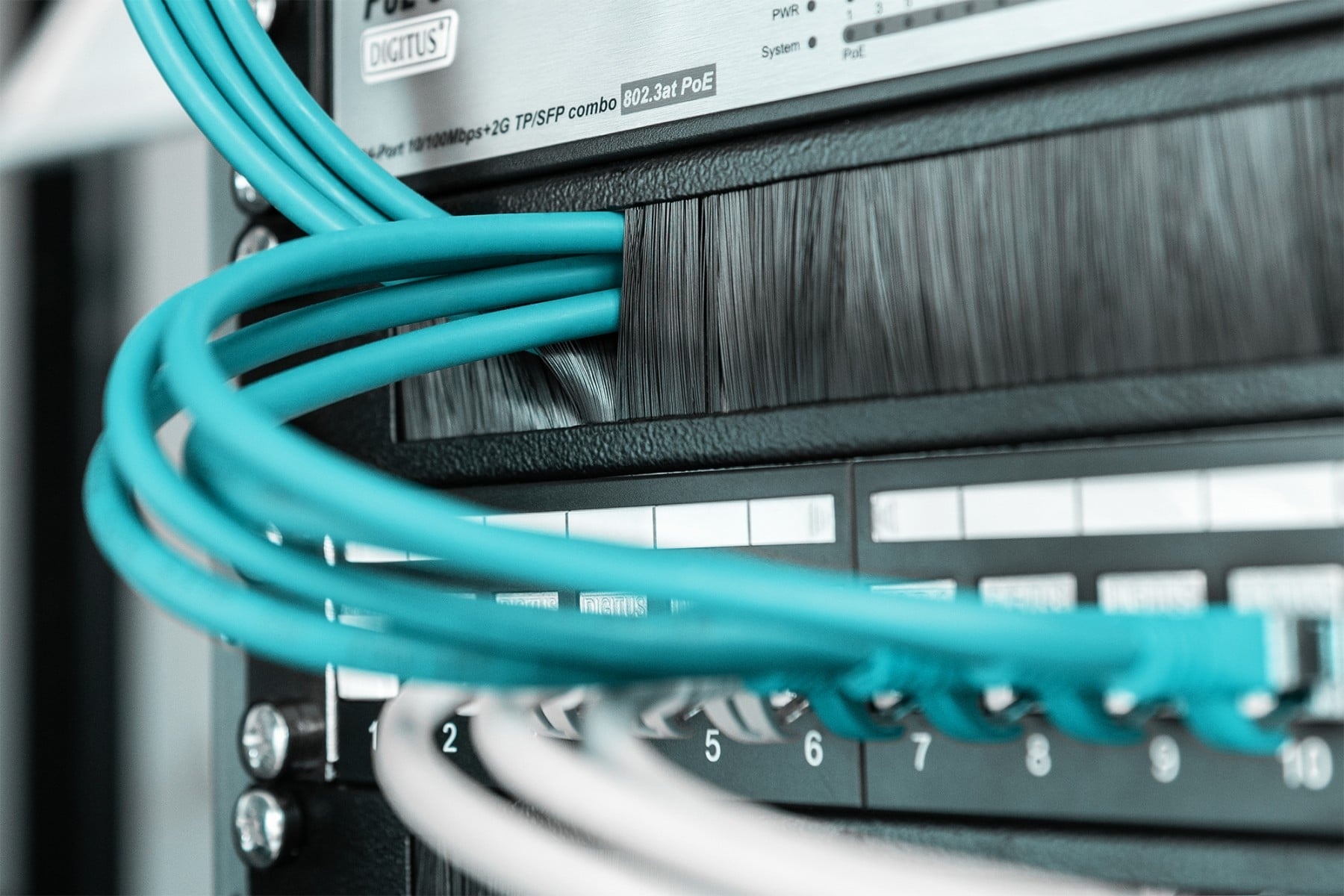 DIGITUS Digitus Cable Brush Management Panel for 483 mm (19") Cabinets - COMPONENTI | TecnoCARE.net Sabaudia, Latina, Terracina, San Felice Circeo e Pontinia