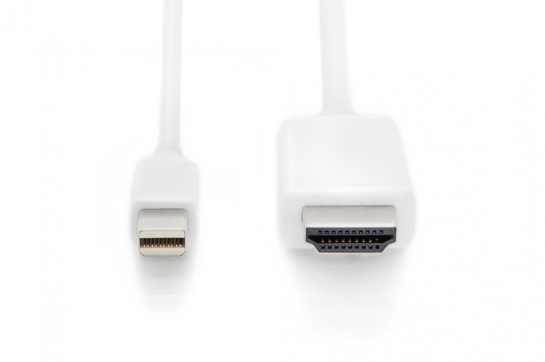 DIGITUS Digitus AK-340304-020-W cavo e adattatore video 2 m HDMI tipo A (Standard) Bianco - CAVI PER COMPUTER E PERIFERICHE | TecnoCARE.net Sabaudia, Latina, Terracina, San Felice Circeo e Pontinia
