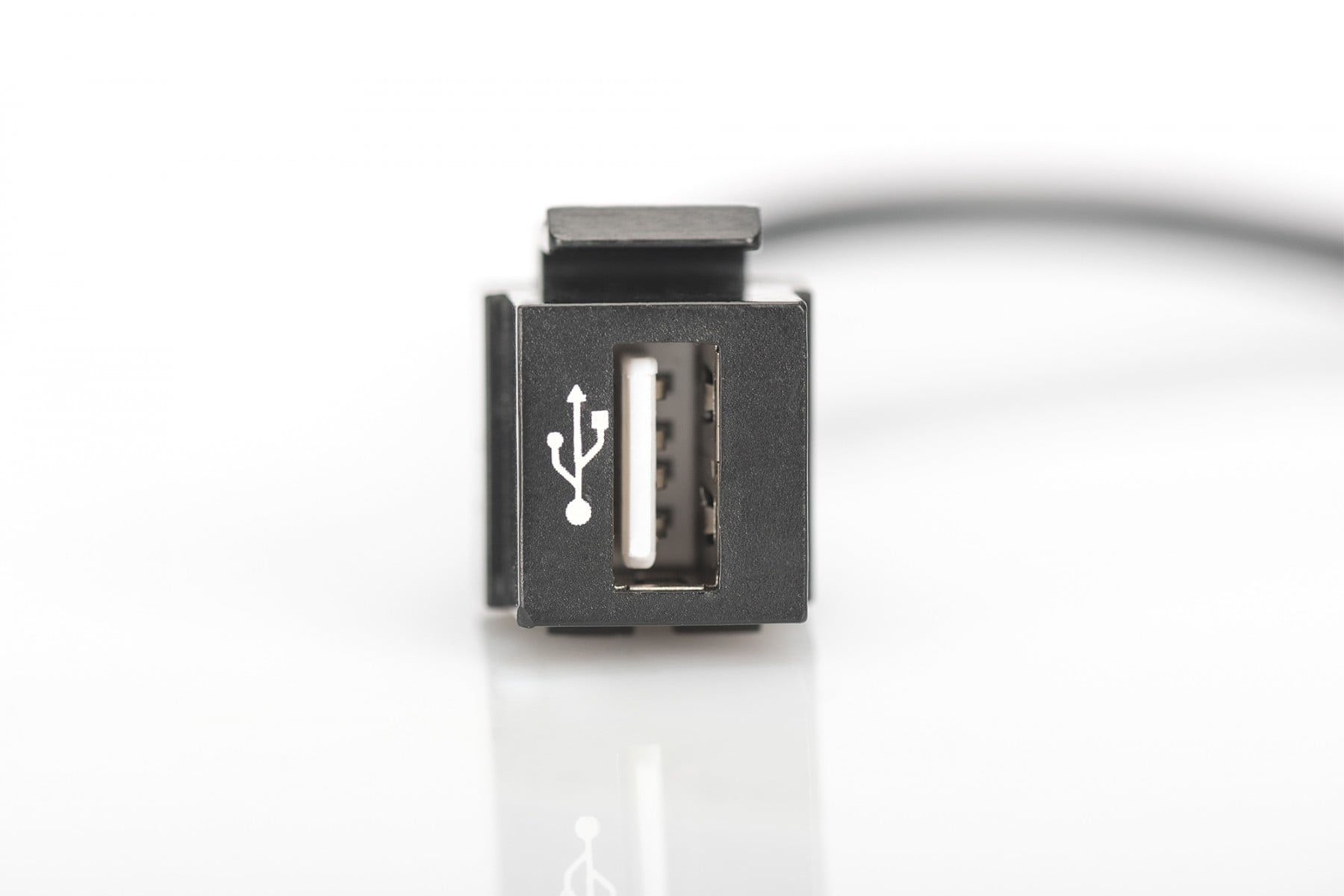DIGITUS Digitus DN-93402 modulo Keystone - DISPOSITIVI E ACCESSORI DI CABLAGGIO | TecnoCARE.net Sabaudia, Latina, Terracina, San Felice Circeo e Pontinia