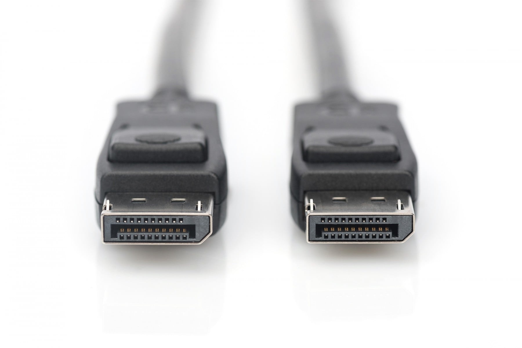 DIGITUS Digitus AK-340106-020-S cavo DisplayPort 2 m Nero - CAVI PER COMPUTER E PERIFERICHE | TecnoCARE.net Sabaudia, Latina, Terracina, San Felice Circeo e Pontinia