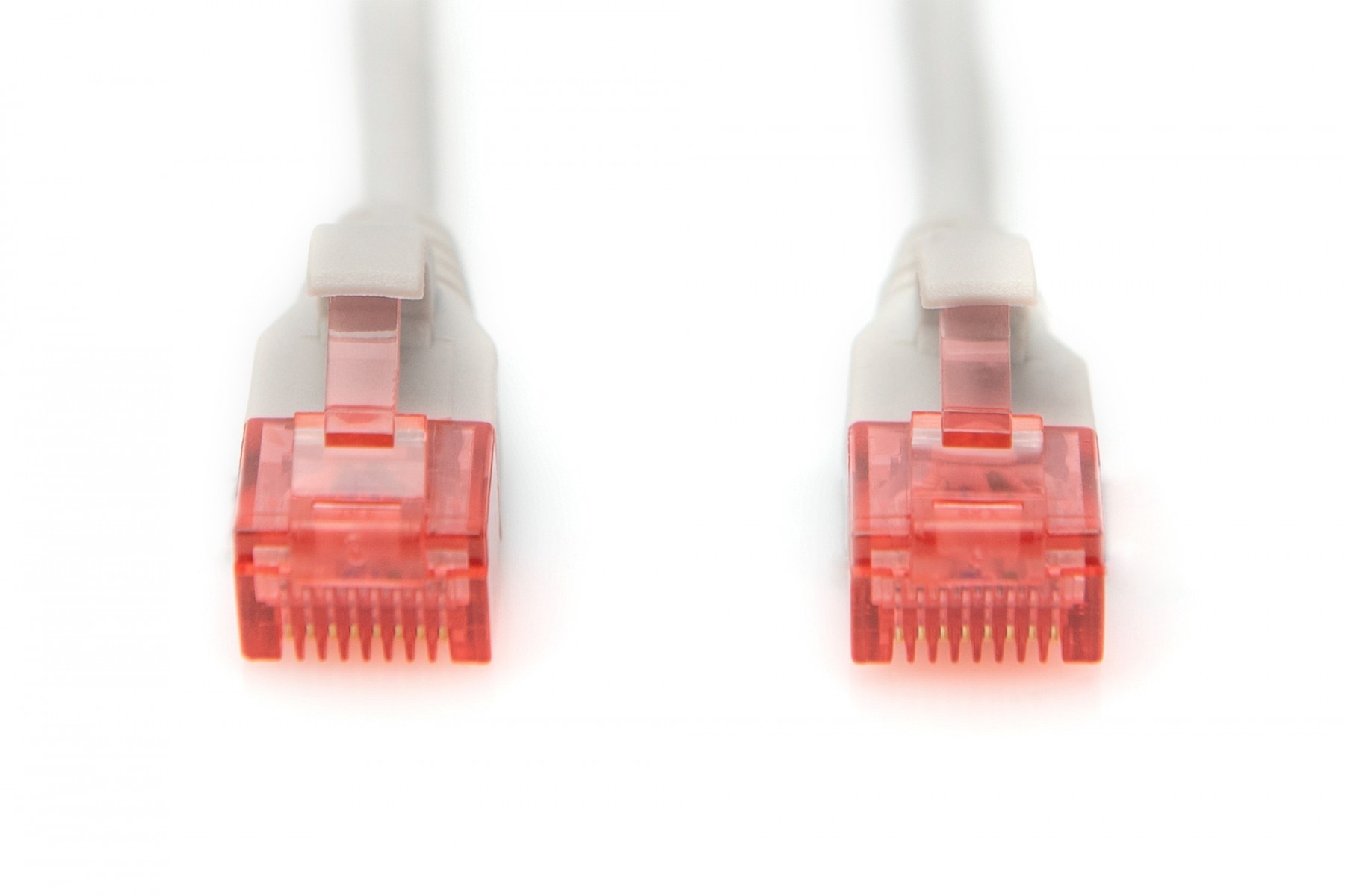 DIGITUS Digitus DK-1617-030S cavo di rete Grigio 0,5 m Cat6 U/UTP (UTP) - CAVI PER COMPUTER E PERIFERICHE | TecnoCARE.net Sabaudia, Latina, Terracina, San Felice Circeo e Pontinia