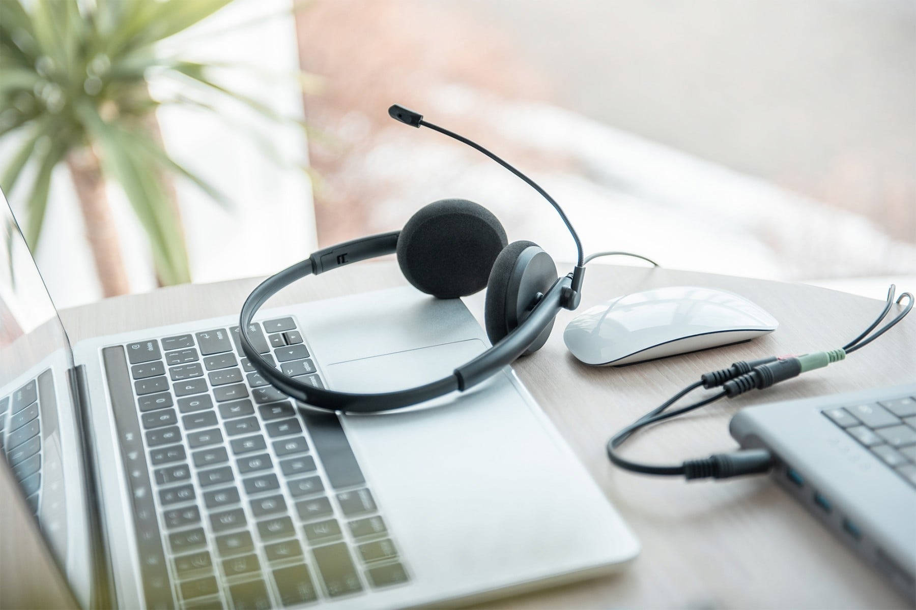 DIGITUS Digitus DA-12202 cuffia e auricolare Cablato A Padiglione Nero - AUDIO E CUFFIE PORTATILI | TecnoCARE.net Sabaudia, Latina, Terracina, San Felice Circeo e Pontinia