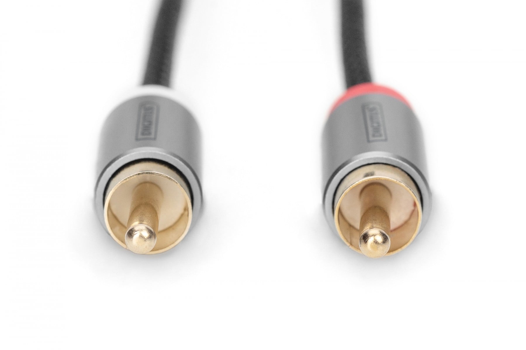 DIGITUS Digitus DB-510330-010-S cavo audio 1 m 2 x RCA Nero - CAVI PER COMPUTER E PERIFERICHE | TecnoCARE.net Sabaudia, Latina, Terracina, San Felice Circeo e Pontinia