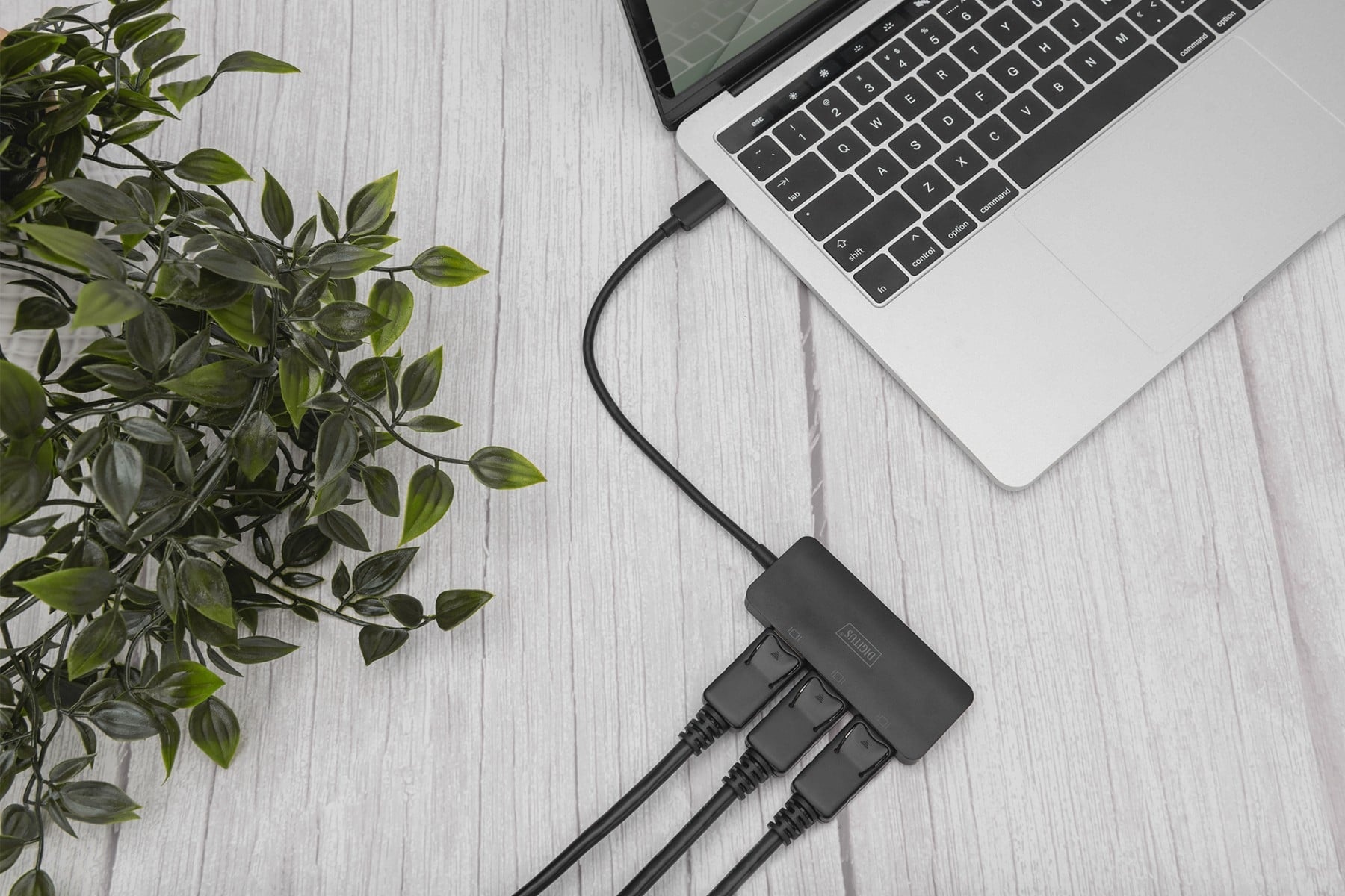 DIGITUS Digitus DS-45334 ripartitore video 3x DisplayPort - ELABORAZIONI E DISTRIBUZIONI DEL SEGNALE | TecnoCARE.net Sabaudia, Latina, Terracina, San Felice Circeo e Pontinia