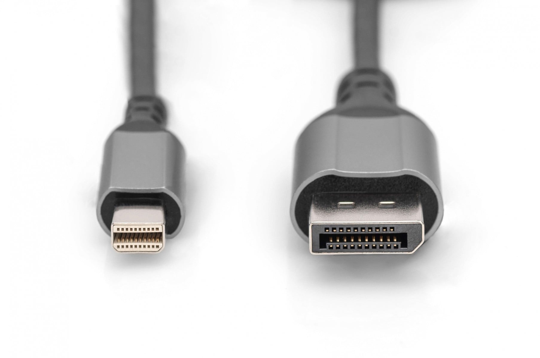 DIGITUS Digitus DB-340106-020-S cavo DisplayPort 2 m Mini DisplayPort Nero - CAVI PER COMPUTER E PERIFERICHE | TecnoCARE.net Sabaudia, Latina, Terracina, San Felice Circeo e Pontinia
