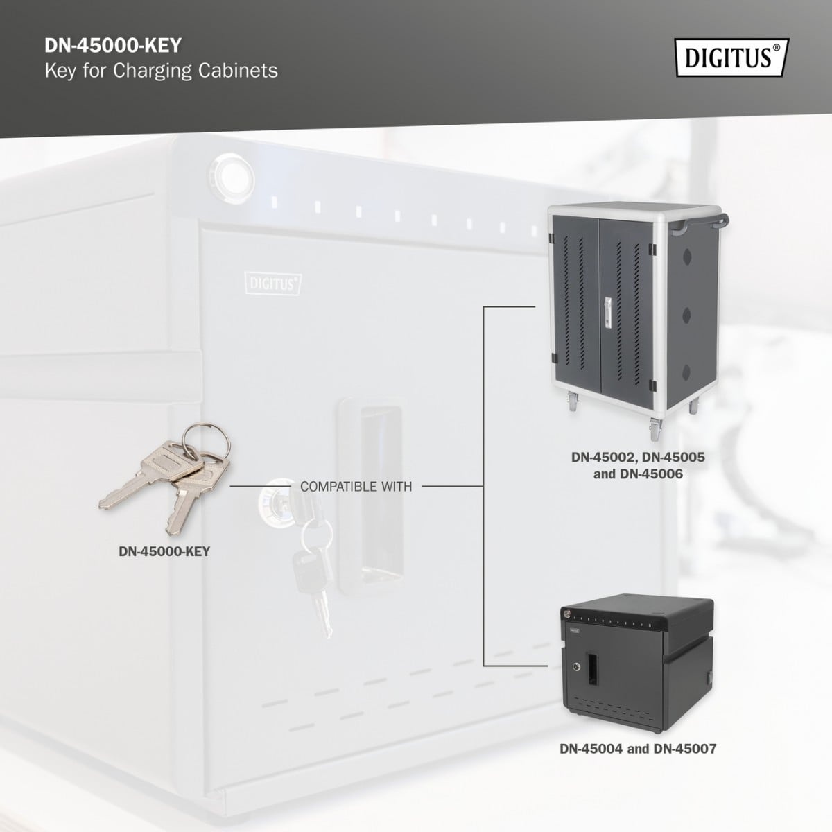 DIGITUS Digitus DN-45000-KEY porta accessori Chiave di blocco - COMPONENTI | TecnoCARE.net Sabaudia, Latina, Terracina, San Felice Circeo e Pontinia