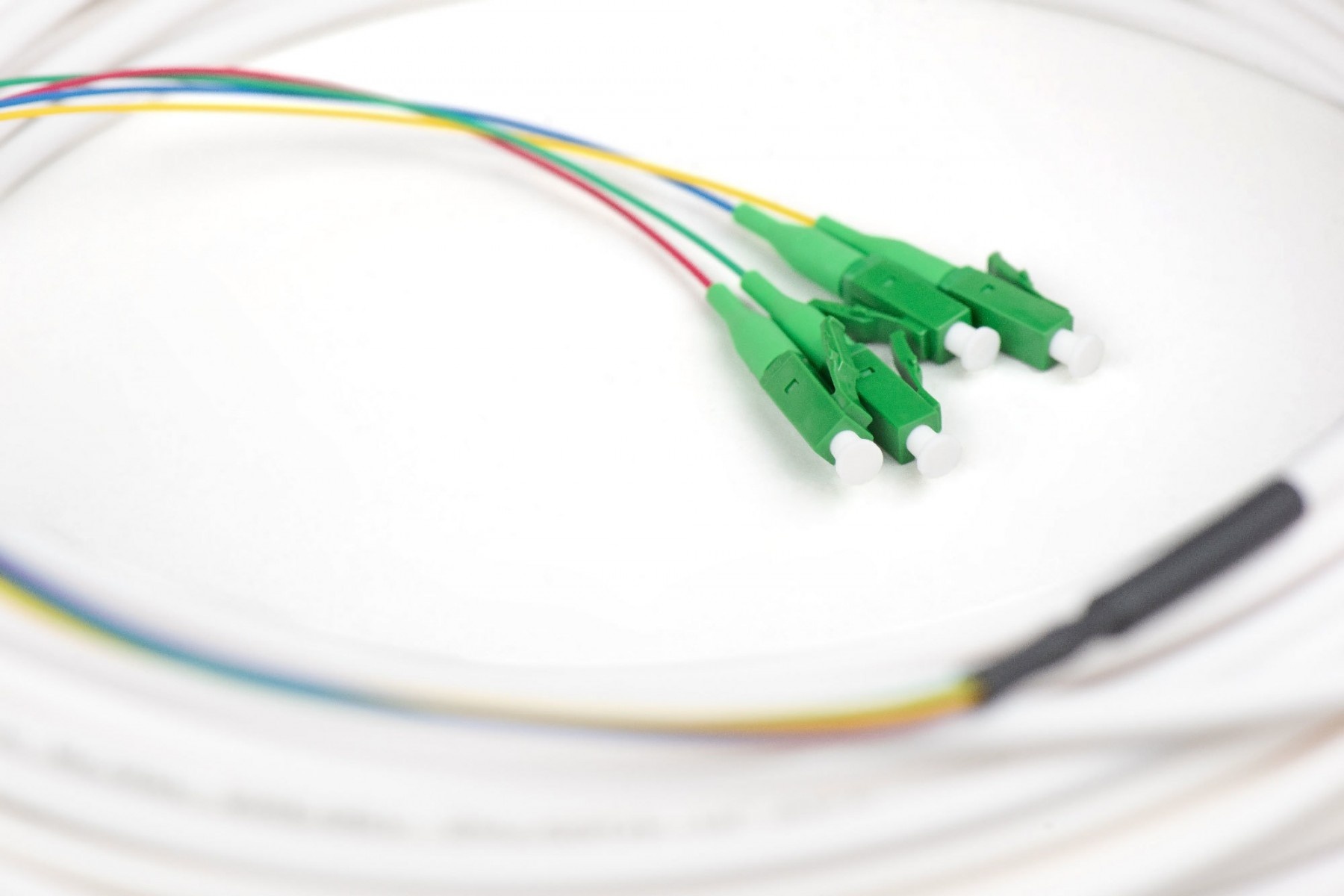 DIGITUS Digitus DK-3904LCA-50 Cavo FTTH, monomodale, 4 fibre, 4 LC/APC, 50 m - CAVI PER COMPUTER E PERIFERICHE | TecnoCARE.net Sabaudia, Latina, Terracina, San Felice Circeo e Pontinia