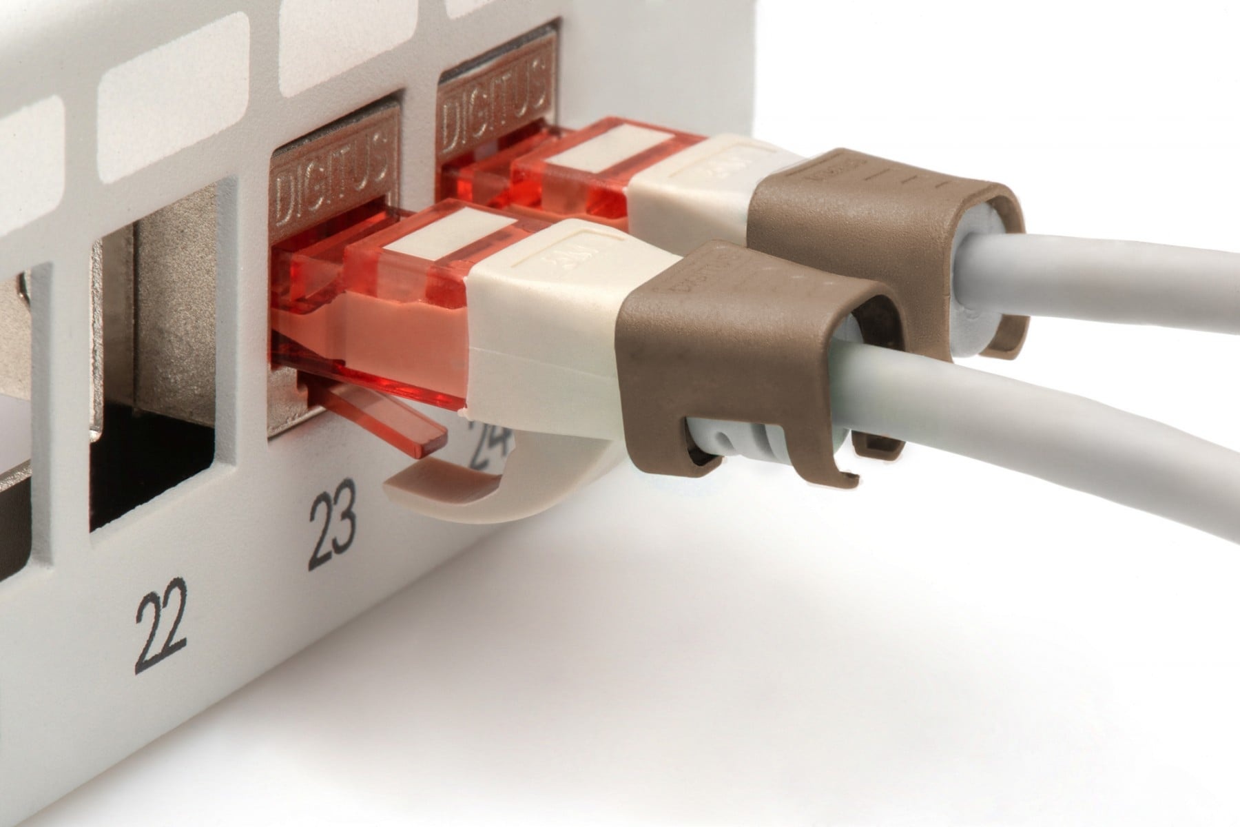 DIGITUS Clip colorato per spina RJ45, marrone, confezione da 100 - CAVI PER COMPUTER E PERIFERICHE | TecnoCARE.net Sabaudia, Latina, Terracina, San Felice Circeo e Pontinia