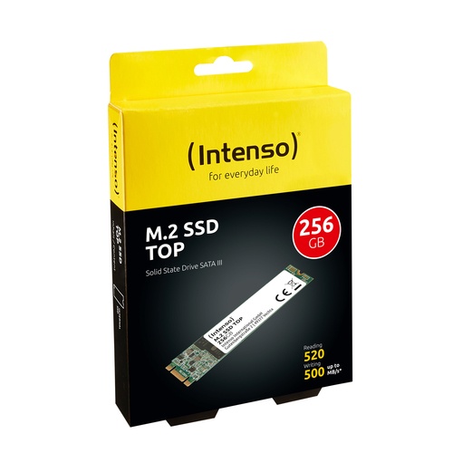INTENSO INTENSO SSD INTERNO TOP 256GB M.2 SATA R/W 520/500 - SSD INTERNI | TecnoCARE.net Sabaudia, Latina, Terracina, San Felice Circeo e Pontinia