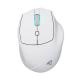SHARKOON SHARKOON MOUSE WIRELESS OFFICEPAL, ERGONOMICO, BIANCO - MOUSE | TecnoCARE.net Sabaudia, Latina, Terracina, San Felice Circeo e Pontinia