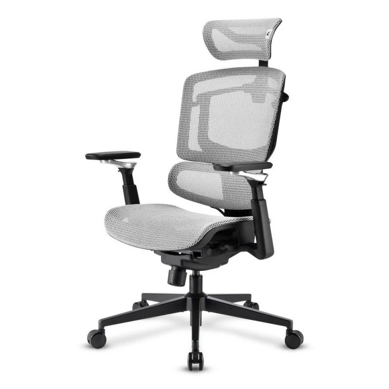 SHARKOON SHARKOON SEDIA OFFICE FABRIC SEAT MESH 4D ARMREST 5 HEIGHTS ADJUSTABLE  MAX WEIGHT CAPACITY 150KG - ACCESSORI GAMING | TecnoCARE.net Sabaudia, Latina, Terracina, San Felice Circeo e Pontinia