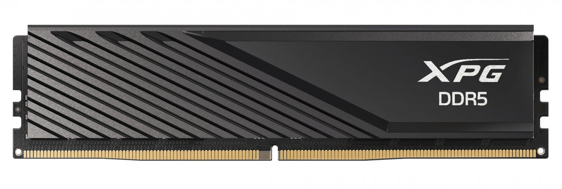 ADATA Modulo di memoria XPG LANCER BLADE 16 GB 1 x 16 GB DDR5 6000 MT/s ECC - COMPONENTI | TecnoCARE.net Sabaudia, Latina, Terracina, San Felice Circeo e Pontinia