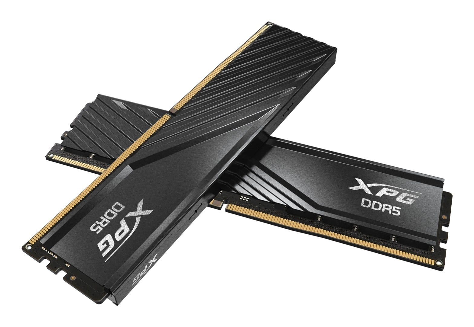 ADATA Modulo di memoria XPG LANCER BLADE 32 GB 2 x 16 GB DDR5 ECC - COMPONENTI | TecnoCARE.net Sabaudia, Latina, Terracina, San Felice Circeo e Pontinia