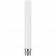 ZYXEL Zyxel ANT2105-ZZ0201F antenna di rete Antenna omnidirezionale Tipo N 7 dBi - RETI | TecnoCARE.net Sabaudia, Latina, Terracina, San Felice Circeo e Pontinia