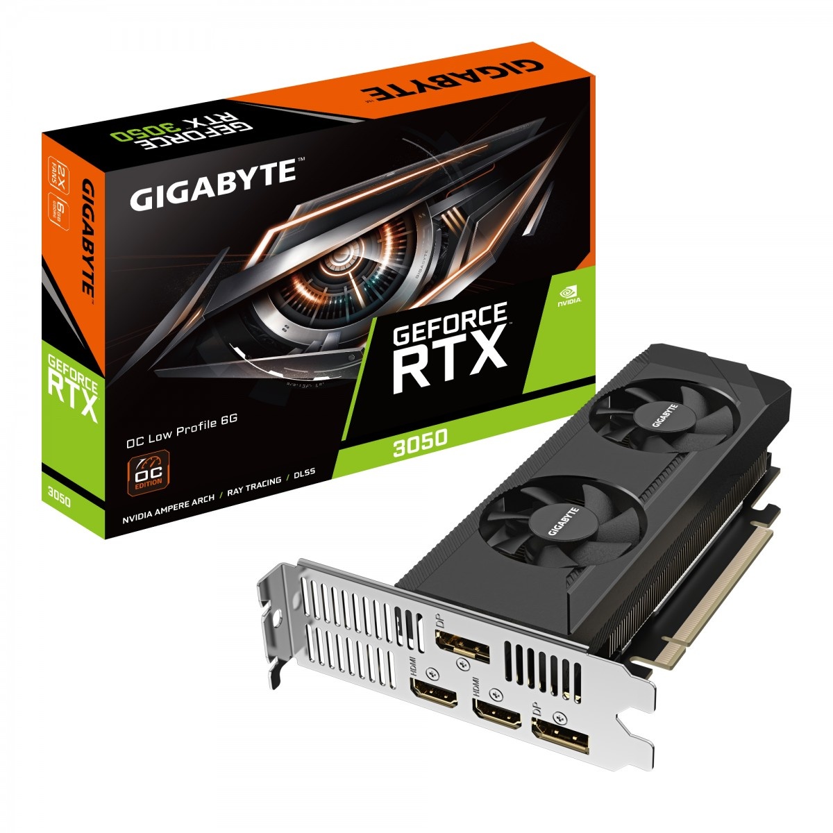 GIGABYTE GIGABYTE GeForce RTX 3050 OC Low Profile 6G NVIDIA 6 GB GDDR6 - COMPONENTI | TecnoCARE.net Sabaudia, Latina, Terracina, San Felice Circeo e Pontinia
