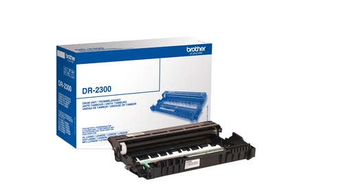 BROTHER Drum Unit - Original - Brother - Brother HL-L2300D / HL-L2340DW / HL-L2360DN / HL-L-2365DW / DCP-L2500D / DCP-L2520DW / DCP-L2540DN... - 1 pc(s) - 12000 pages - - STAMPANTI E SCANNER | TecnoCARE.net Sabaudia, Latina, Terracina, San Felice Circeo e Pontinia