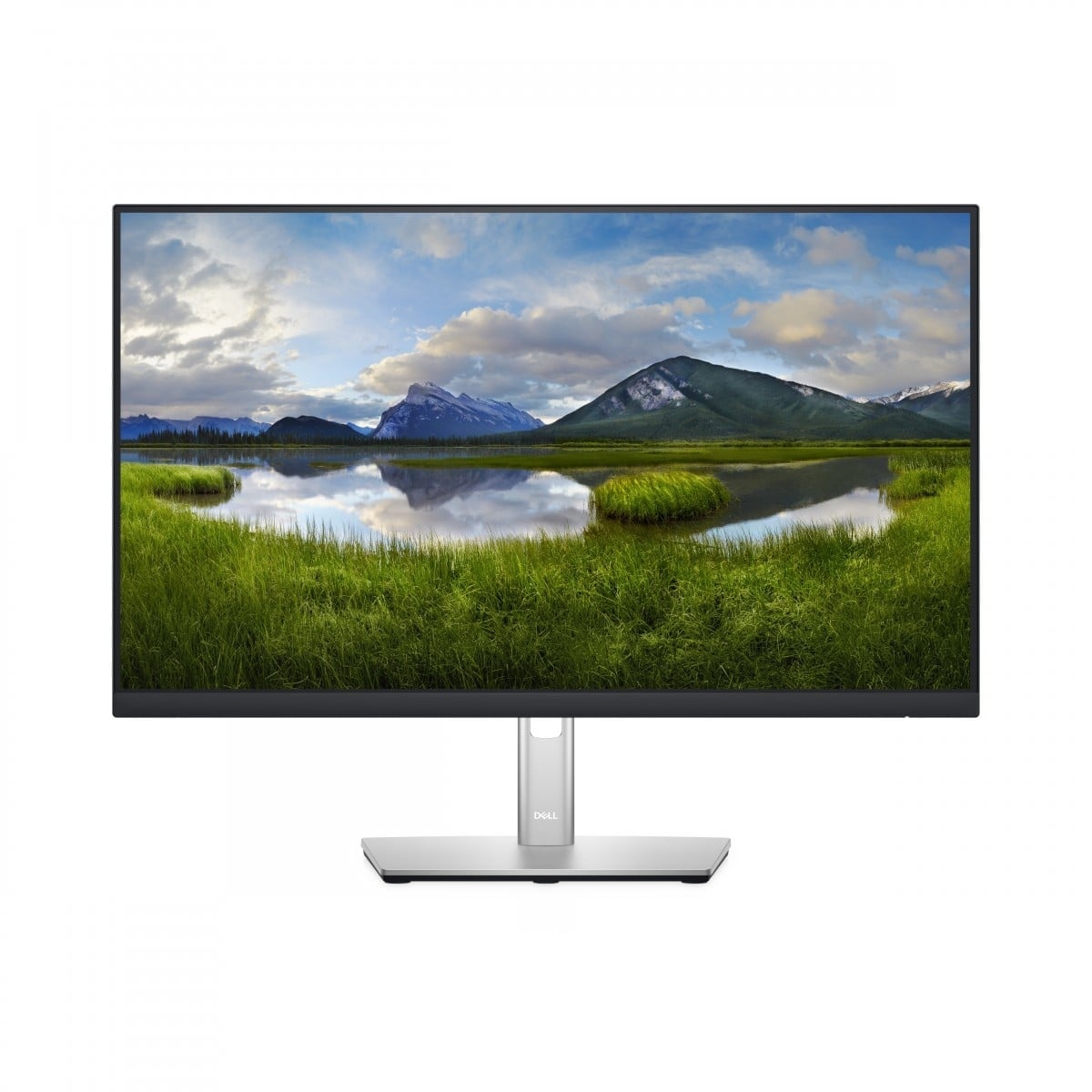 DELL DELL P Series Monitor 24 - P2422H - MONITOR E ACCESSORI | TecnoCARE.net Sabaudia, Latina, Terracina, San Felice Circeo e Pontinia