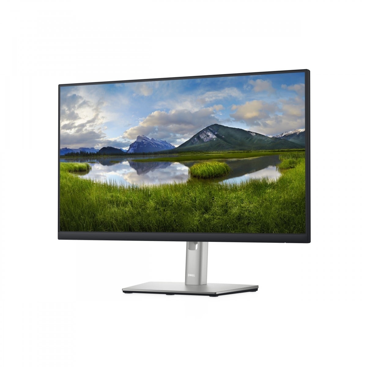 DELL DELL P Series Monitor 24 - P2422H - MONITOR E ACCESSORI | TecnoCARE.net Sabaudia, Latina, Terracina, San Felice Circeo e Pontinia