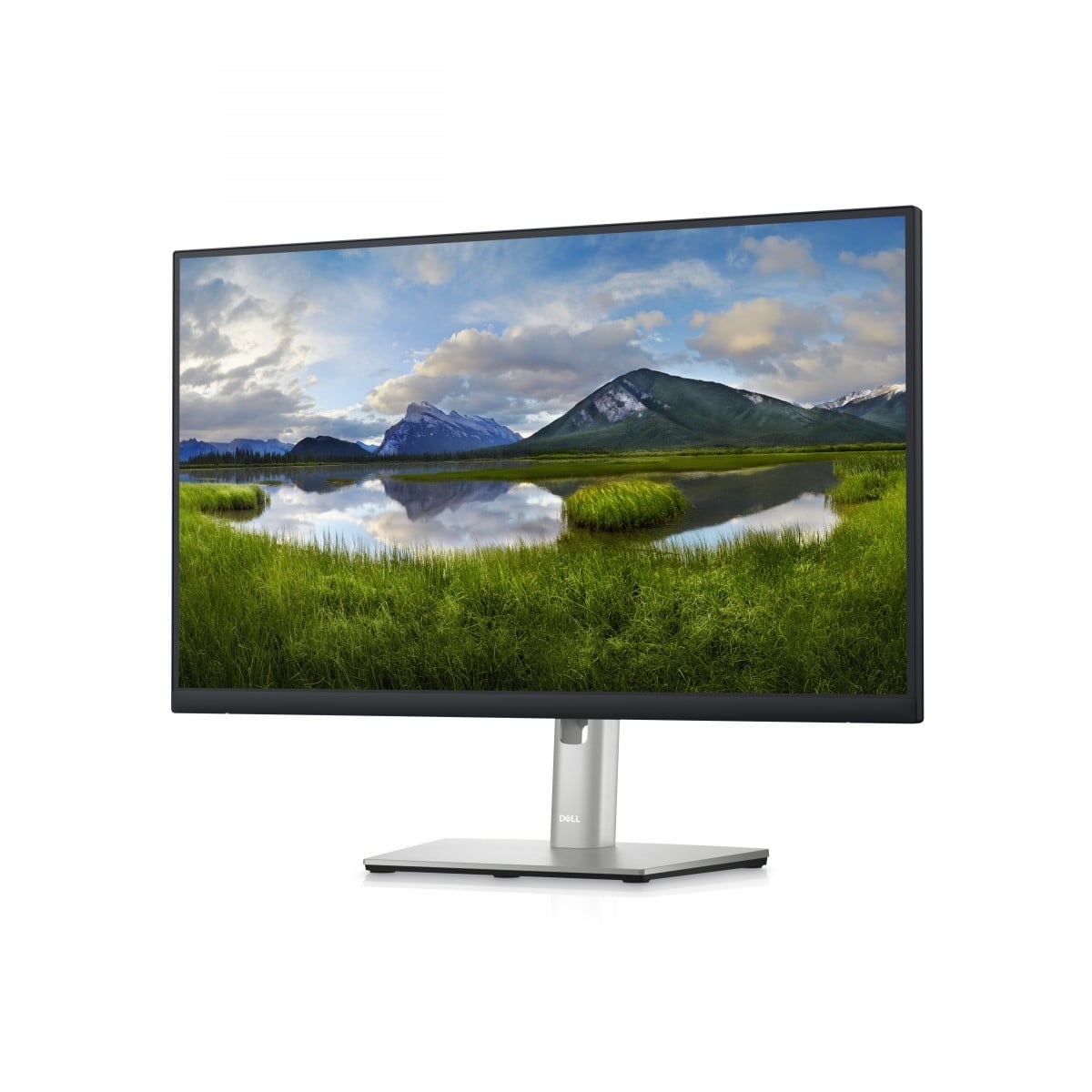 DELL DELL P Series Monitor QHD da 24" - P2423D - MONITOR E ACCESSORI | TecnoCARE.net Sabaudia, Latina, Terracina, San Felice Circeo e Pontinia