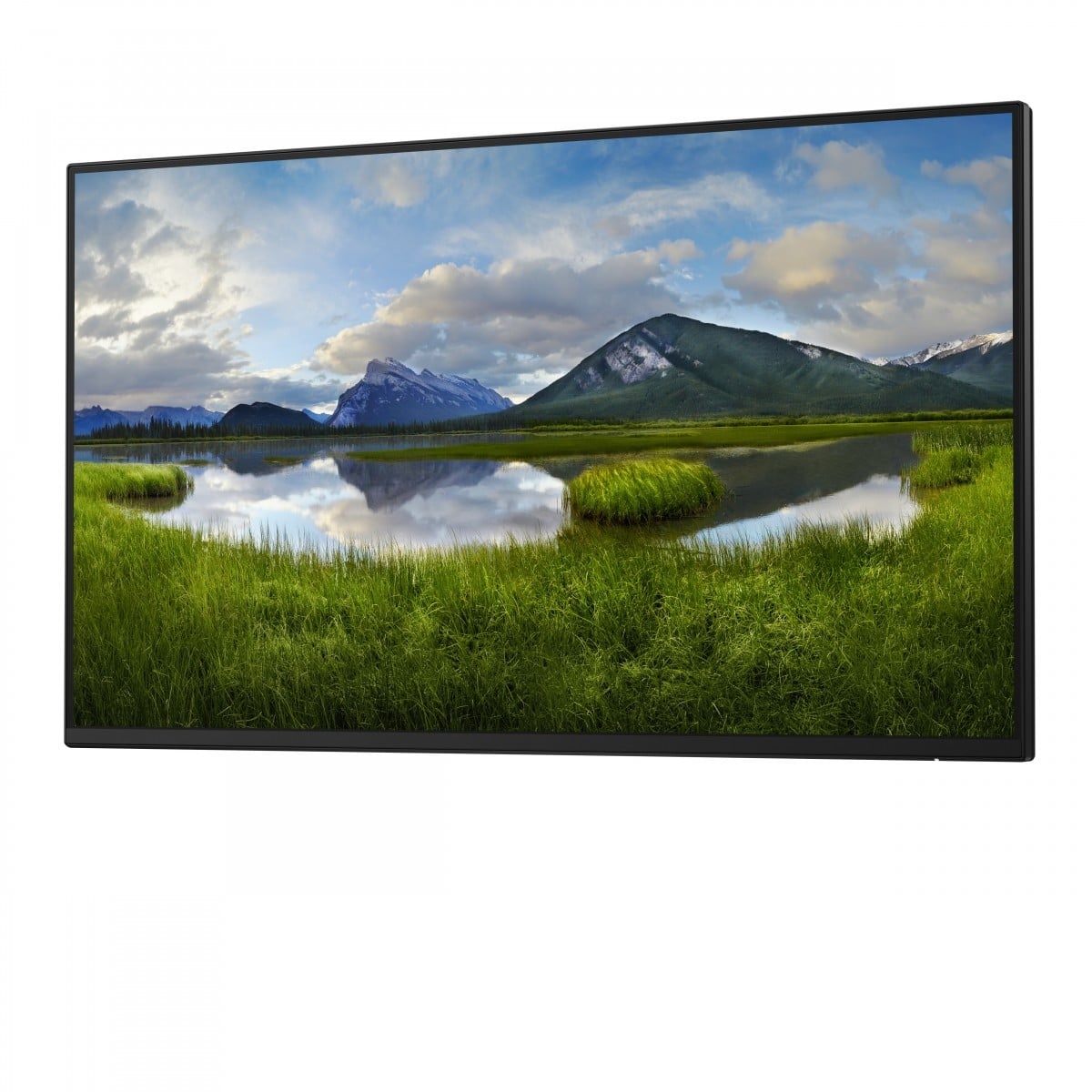DELL DELL Pro Plus P2425H_WOST Monitor PC 61 cm (24") 1920 x 1080 Pixel Full HD LCD Nero - MONITOR E ACCESSORI | TecnoCARE.net Sabaudia, Latina, Terracina, San Felice Circeo e Pontinia
