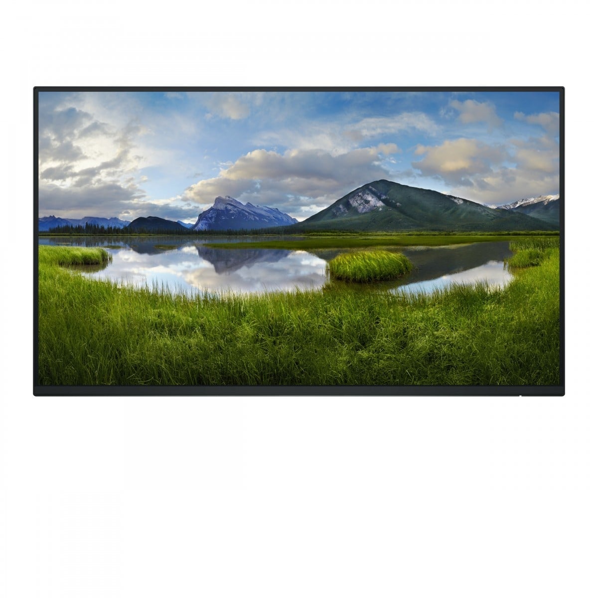 DELL DELL Pro Plus P2425HE_WOST Monitor PC 61 cm (24") 1920 x 1080 Pixel Full HD LCD Nero - MONITOR E ACCESSORI | TecnoCARE.net Sabaudia, Latina, Terracina, San Felice Circeo e Pontinia