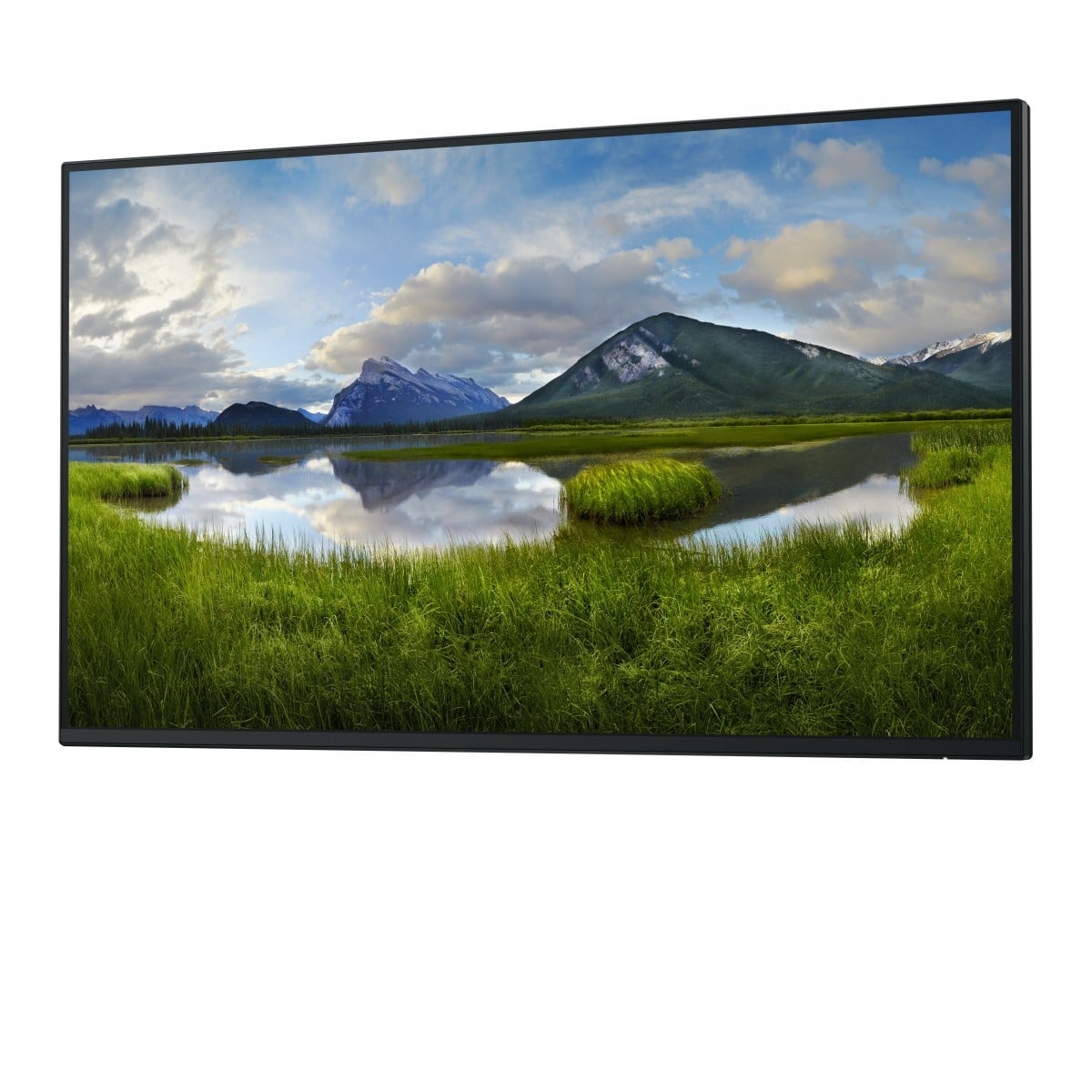 DELL DELL Pro Plus P2725H_WOST Monitor PC 68,6 cm (27") 1920 x 1080 Pixel Full HD LCD Nero - MONITOR E ACCESSORI | TecnoCARE.net Sabaudia, Latina, Terracina, San Felice Circeo e Pontinia