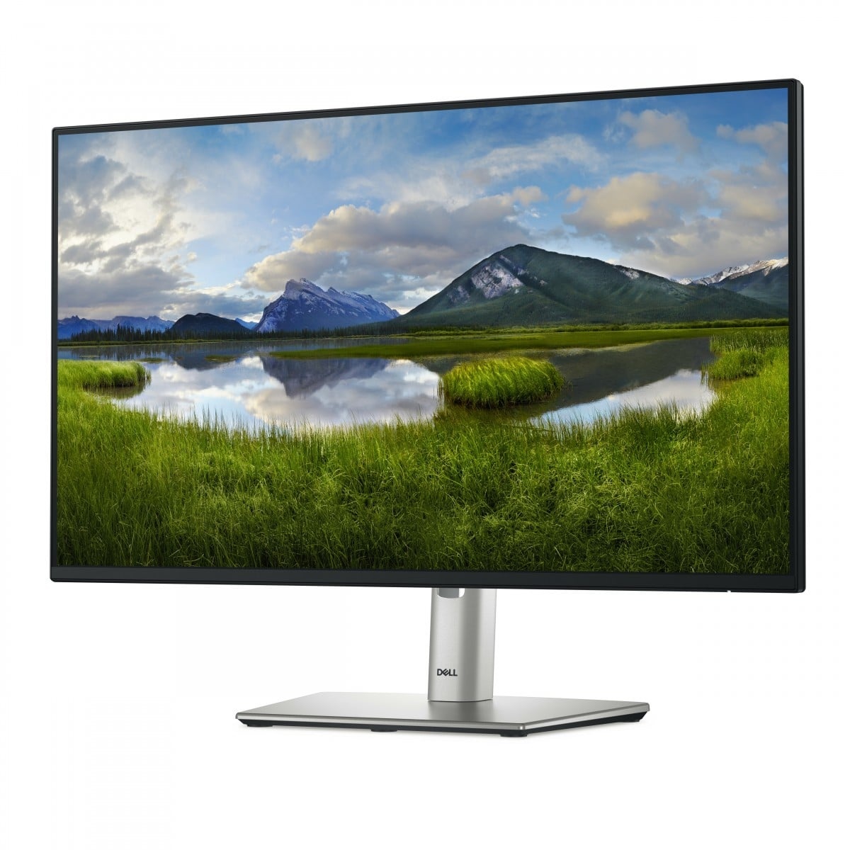 DELL Dell Pro 24 Plus USB-C Hub Monitor - P2425HE - MONITOR E ACCESSORI | TecnoCARE.net Sabaudia, Latina, Terracina, San Felice Circeo e Pontinia