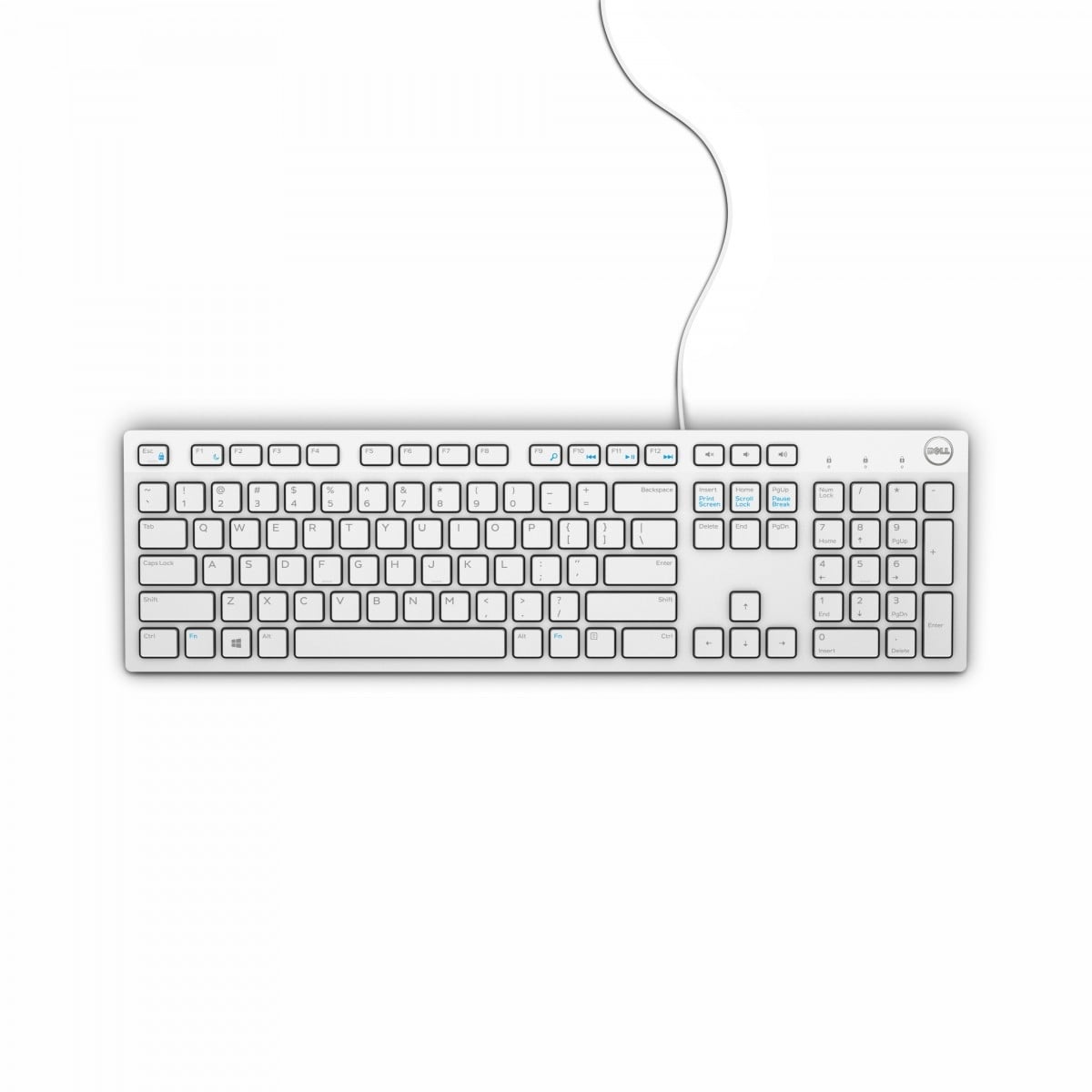 DELL DELL KB216 tastiera USB QWERTY US International Bianco (580-ADGM) (580-ADGM) - TASTIERE E CONTROLLER | TecnoCARE.net Sabaudia, Latina, Terracina, San Felice Circeo e Pontinia