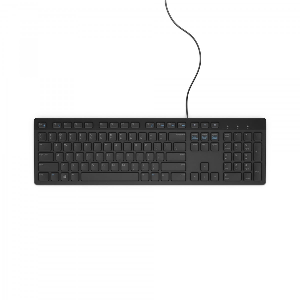DELL Dell KB216 Tastiera USB QWERTY Nera a Grande Formato - TASTIERE E CONTROLLER | TecnoCARE.net Sabaudia, Latina, Terracina, San Felice Circeo e Pontinia