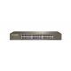 IP-COM IP-COM Switch 24-Port Gigabit Unmanaged - SWITCH E HUB | TecnoCARE.net Sabaudia, Latina, Terracina, San Felice Circeo e Pontinia