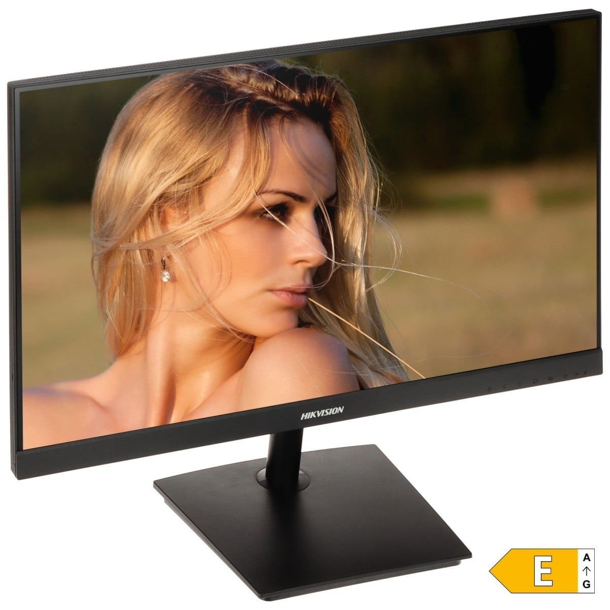 HIKVISION Hikvision DS-D5024F2-AP2 - MONITOR E ACCESSORI | TecnoCARE.net Sabaudia, Latina, Terracina, San Felice Circeo e Pontinia