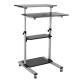 ROLINE ROLINE PC-STANDING WORKSTATION, NERO/GRIGIO - ACCESSORI NET/NOTEBOOK | TecnoCARE.net Sabaudia, Latina, Terracina, San Felice Circeo e Pontinia