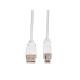 VALUE VALUE CAVO PER STAMPANTE USB2.0 Cable, A - B, M/M, 3M - CAVI USB | TecnoCARE.net Sabaudia, Latina, Terracina, San Felice Circeo e Pontinia