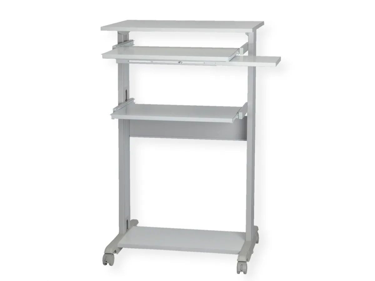 ROLINE ROLINE PC-STANDING WORKSTATION - ACCESSORI NET/NOTEBOOK | TecnoCARE.net Sabaudia, Latina, Terracina, San Felice Circeo e Pontinia