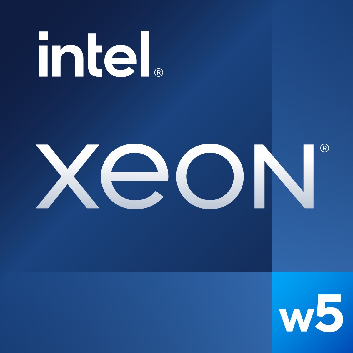 INTEL Intel Xeon w5-2445 processore 3,1 GHz 26,25 MB Cache intelligente Vassoio - COMPONENTI | TecnoCARE.net Sabaudia, Latina, Terracina, San Felice Circeo e Pontinia