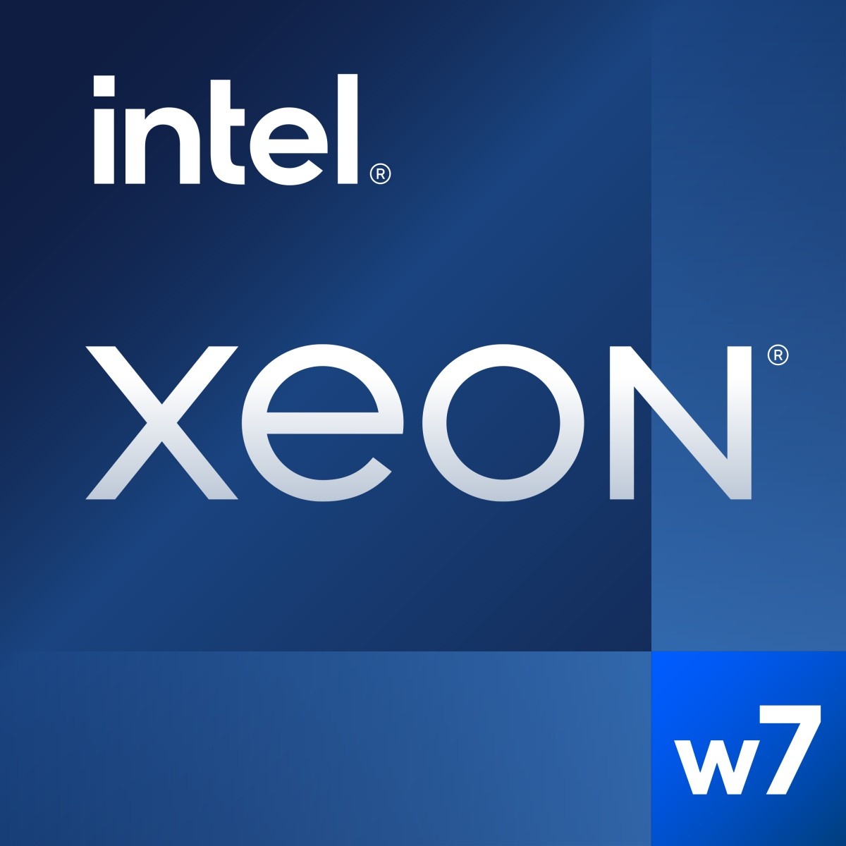 INTEL Intel Xeon w7-2495X processore 2,5 GHz 45 MB Cache intelligente Vassoio - COMPONENTI | TecnoCARE.net Sabaudia, Latina, Terracina, San Felice Circeo e Pontinia
