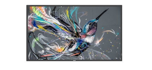 PHILIPS PHILIPS MONITOR DIGITAL SIGNAGE 42,5 LED Q-LINE 16:9 400 CD/M 8MS 4KUHD, DVI/HDMI, LAN, 18/7, MULTIMEDIALE - MONITOR LFD | TecnoCARE.net Sabaudia, Latina, Terracina, San Felice Circeo e Pontinia