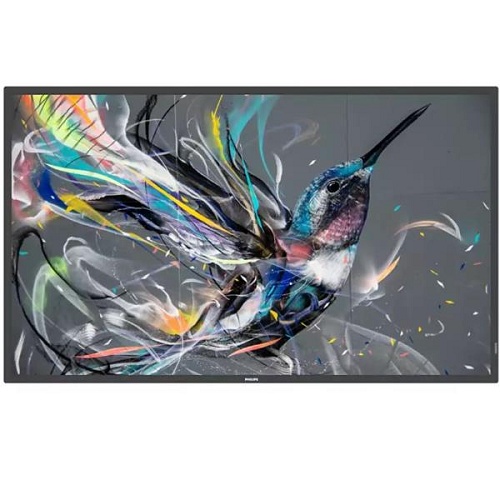 PHILIPS PHILIPS MONITOR DIGITAL SIGNAGE 50" Q-LINE 16:9  4K UHD 400 CDM, 18/7, CMND, LAN, DVI/HDMI - MONITOR LFD | TecnoCARE.net Sabaudia, Latina, Terracina, San Felice Circeo e Pontinia