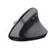 TRUST TRUST MOUSE ERGONOMICO WIRELESS, BAYO+ - MOUSE | TecnoCARE.net Sabaudia, Latina, Terracina, San Felice Circeo e Pontinia