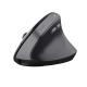 TRUST TRUST MOUSE TM-270 ERGONOMIC WIRELESS - MOUSE | TecnoCARE.net Sabaudia, Latina, Terracina, San Felice Circeo e Pontinia